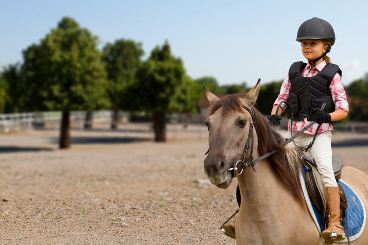 At Binmek - Çocuğunuzla Birlikte Yapabileceğiniz Aktiviteler